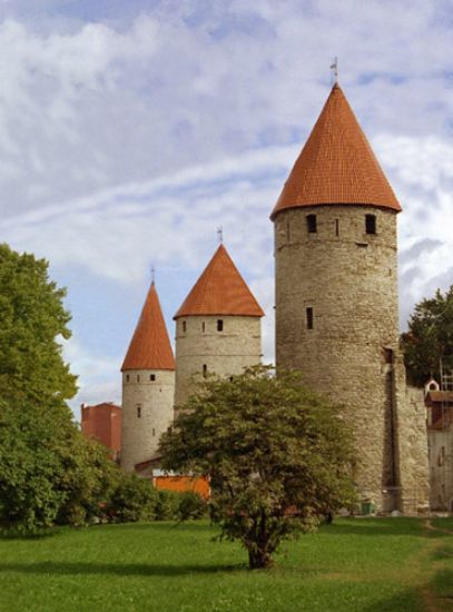 Изображение TestVendor